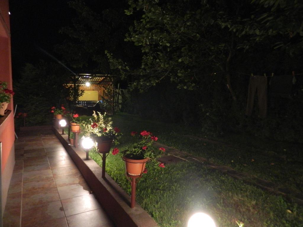 Cazare Vio Hotel Cluj Napoca Bagian luar foto