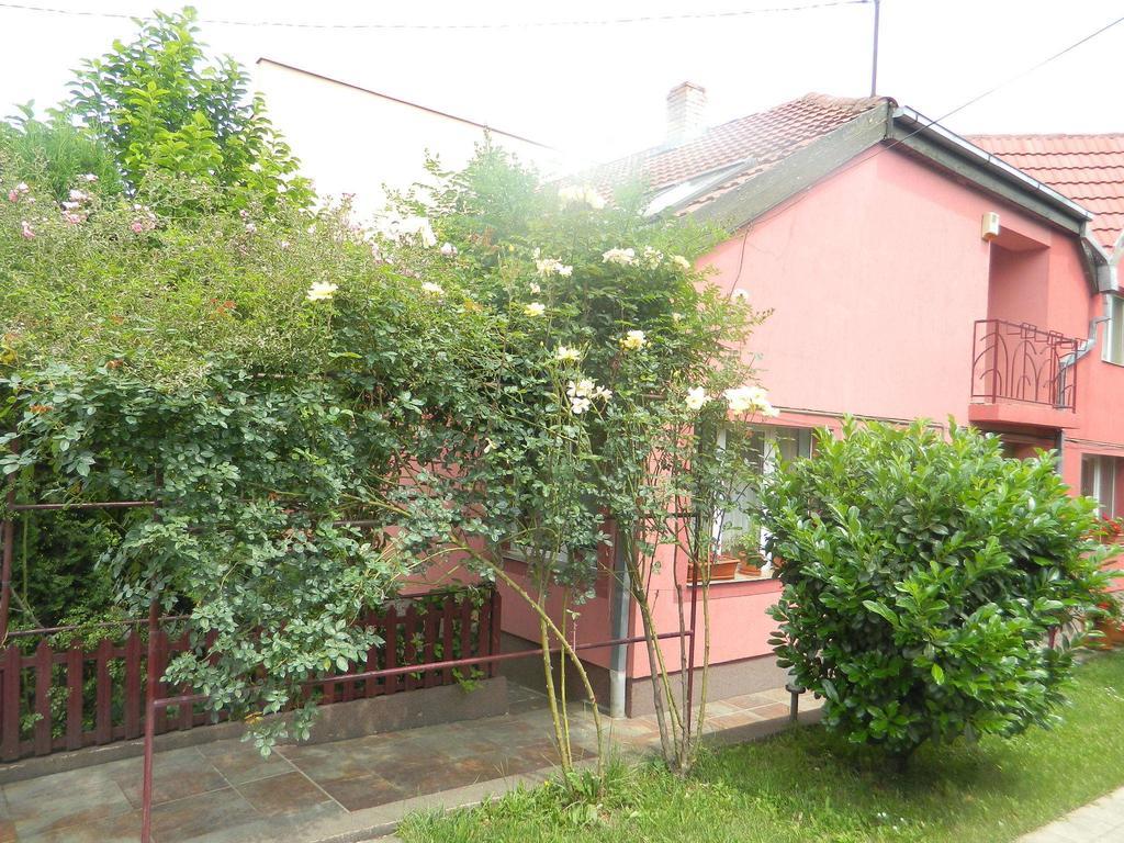 Cazare Vio Hotel Cluj Napoca Bagian luar foto