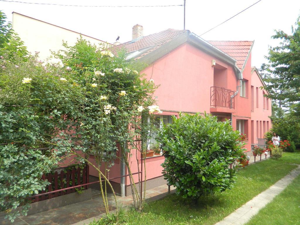 Cazare Vio Hotel Cluj Napoca Bagian luar foto
